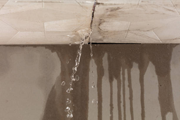 Professional Burst Pipe Cleanup technician working in Harbor Beach, MI